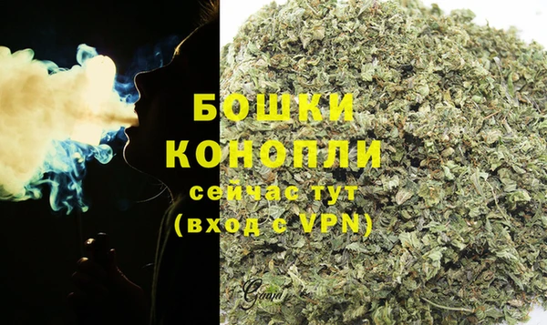 каннабис Белокуриха