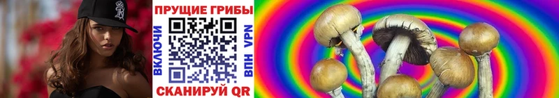 Псилоцибиновые грибы Magic Shrooms  Верхотурье 